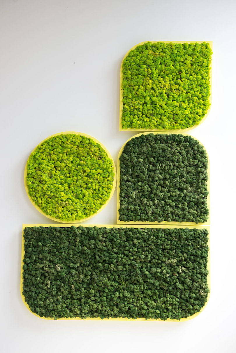 BuzziMood，Green plant wall，green，