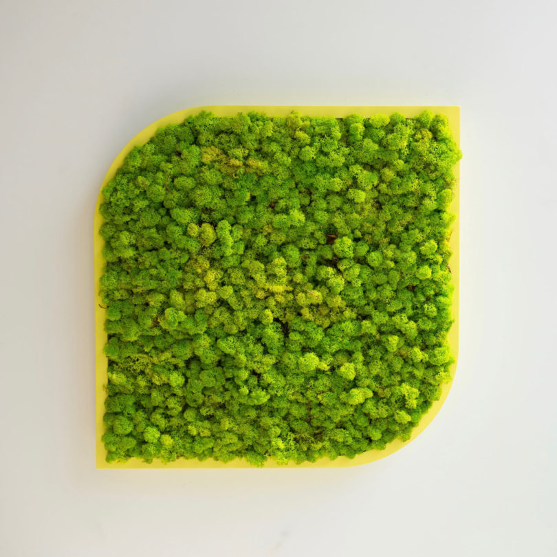 BuzziMood，Green plant wall，green，