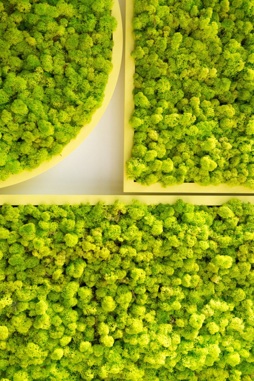 BuzziMood，Green plant wall，green，