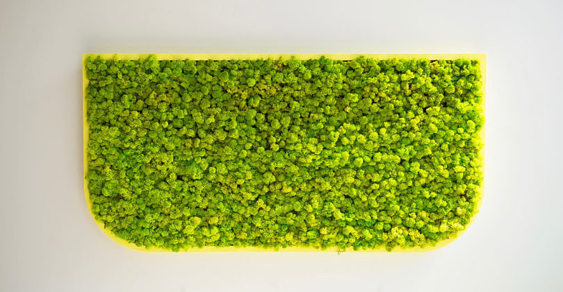 BuzziMood，Green plant wall，green，
