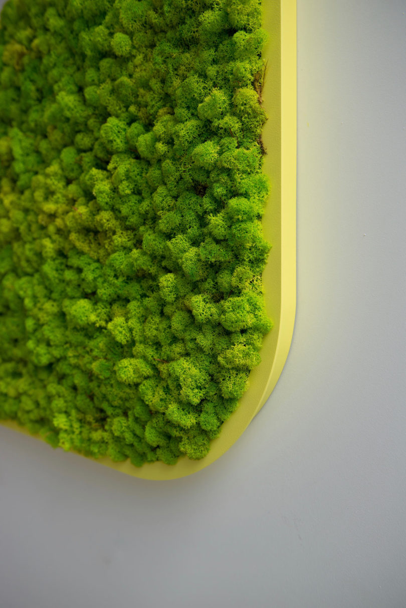 BuzziMood，Green plant wall，green，