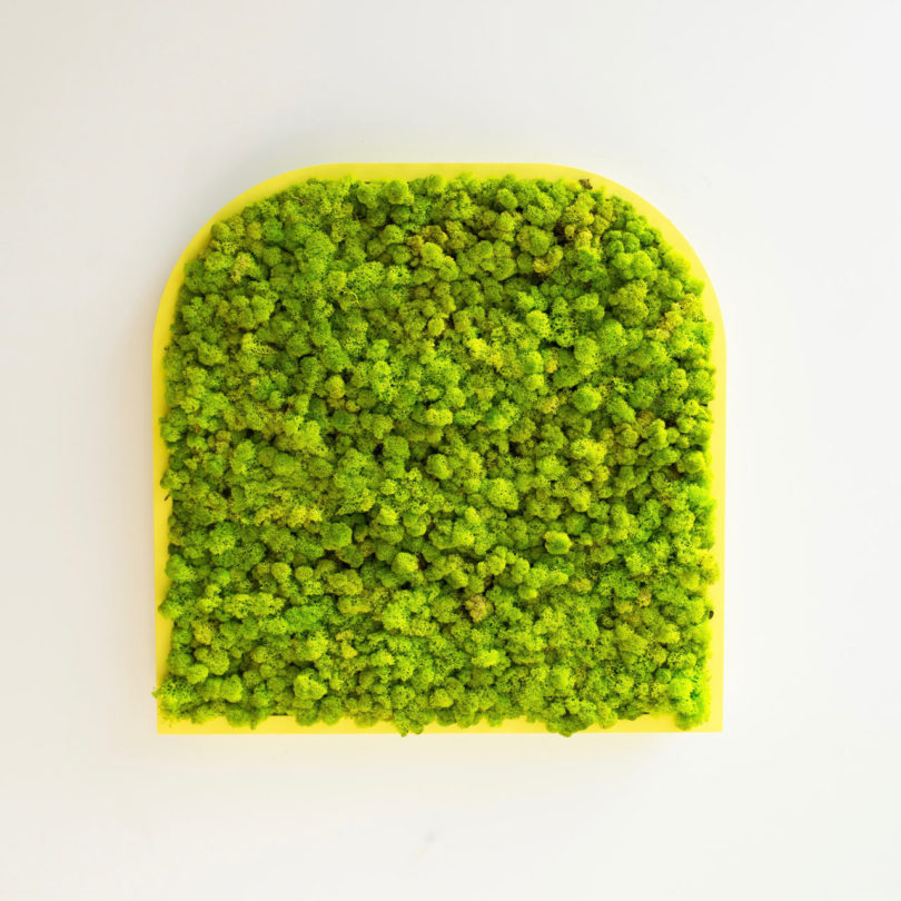 BuzziMood，Green plant wall，green，