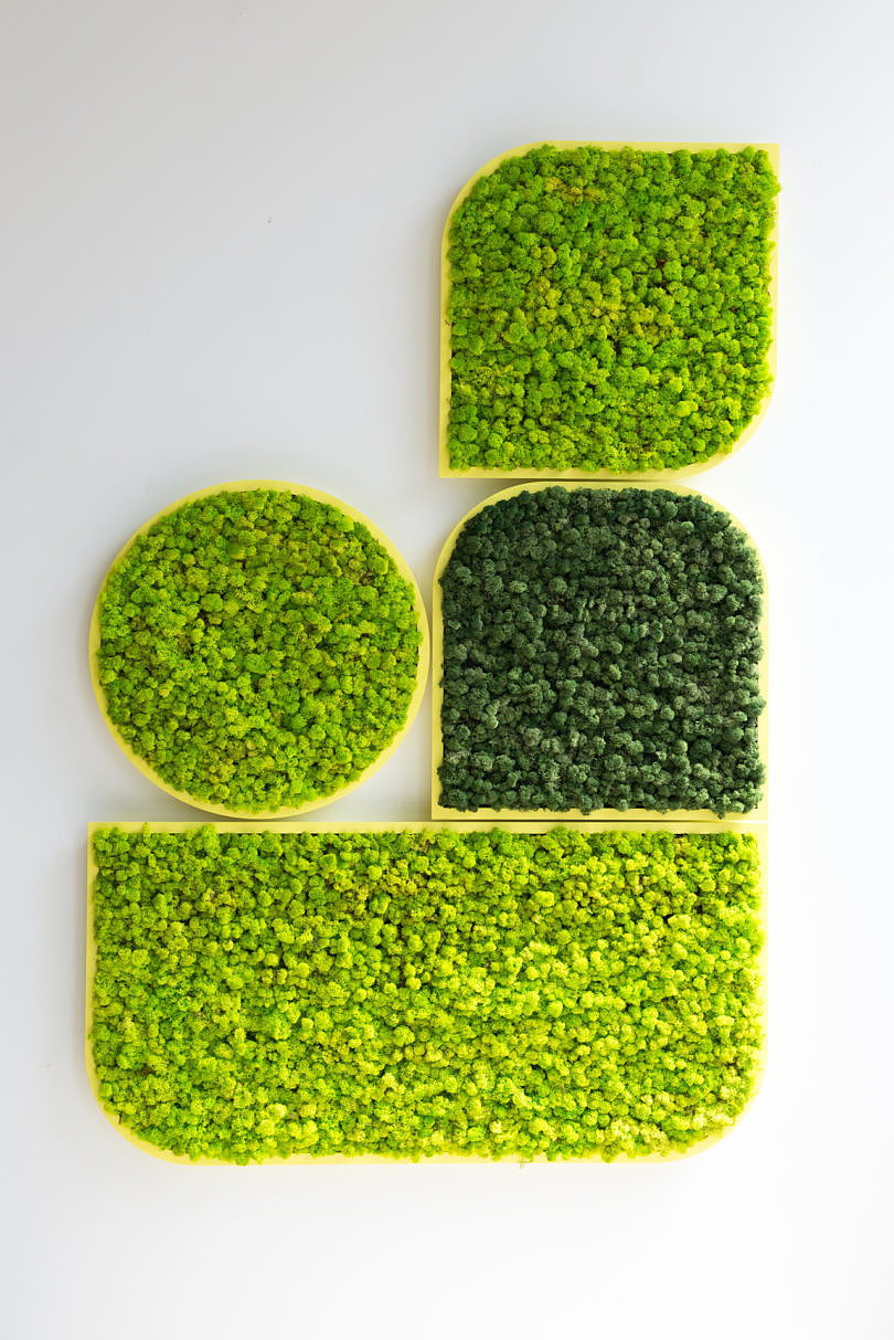 BuzziMood，Green plant wall，green，