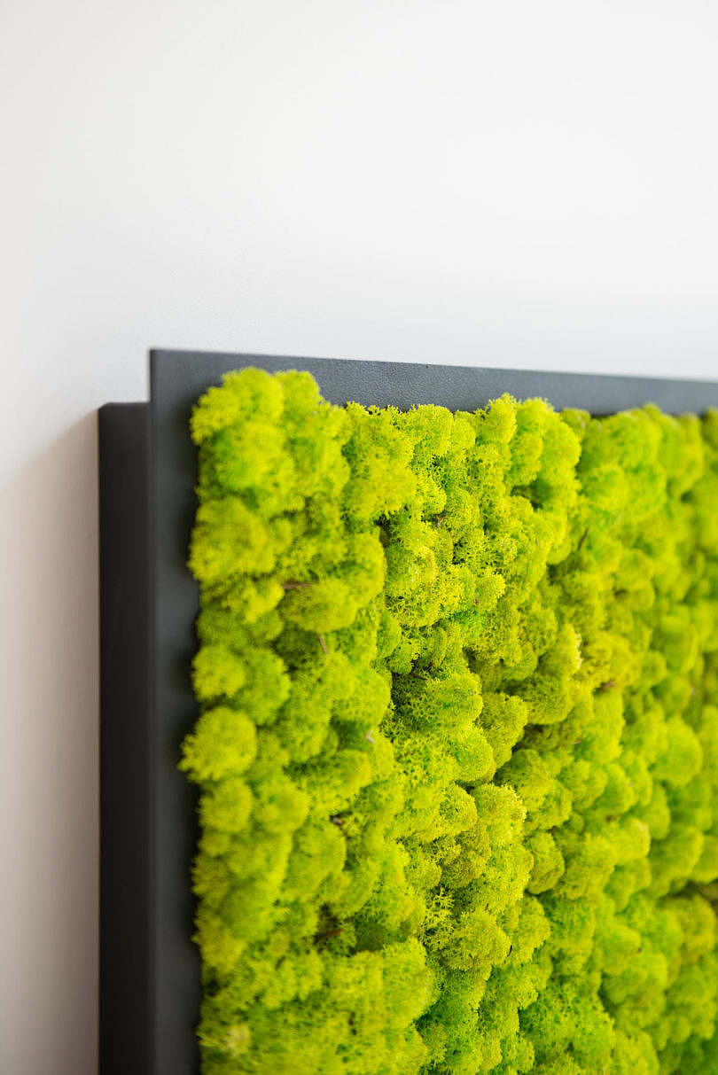 BuzziMood，Green plant wall，green，