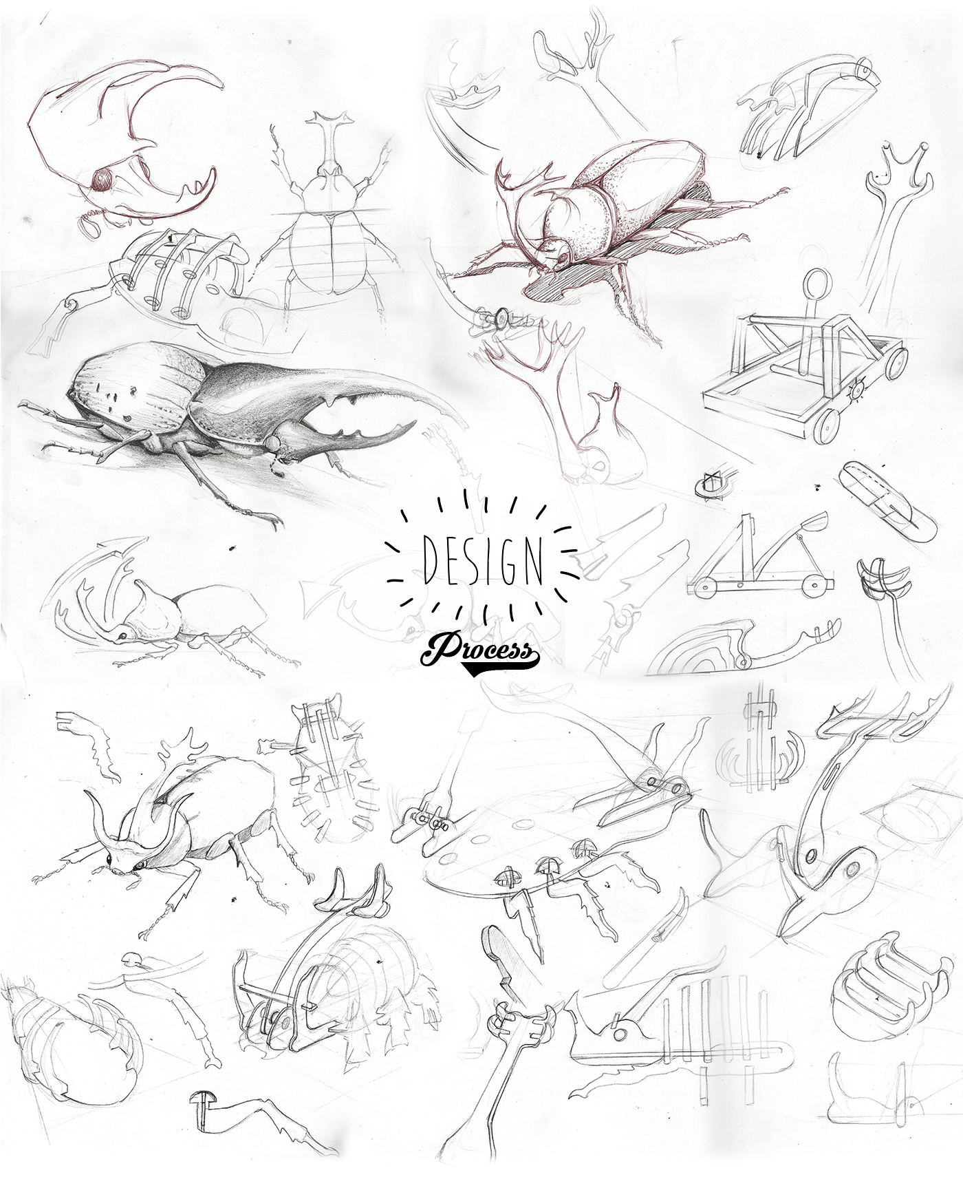 Slingshot，decompression，Toys，