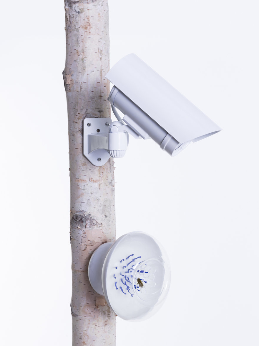 Black Technology，Anti mite device，Bee detection device，