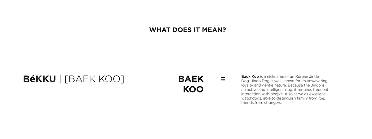 békku，Household robot，Remote communication，