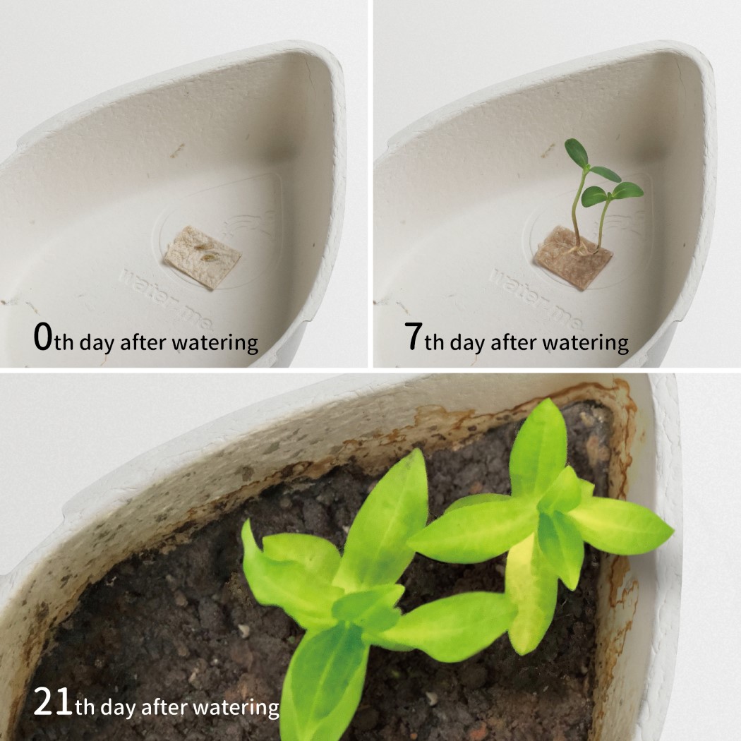 food，Product packaging design，