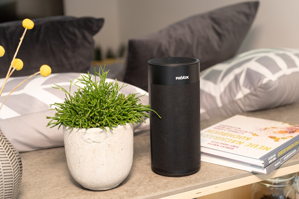 reddot，speaker，loudspeaker box，2019 red dot product design award，