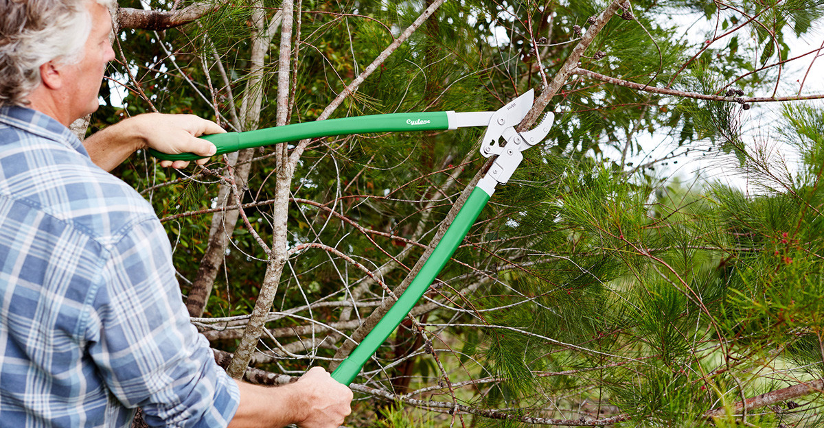 Pruning scissors，Save effort，convenient，tool，product design，