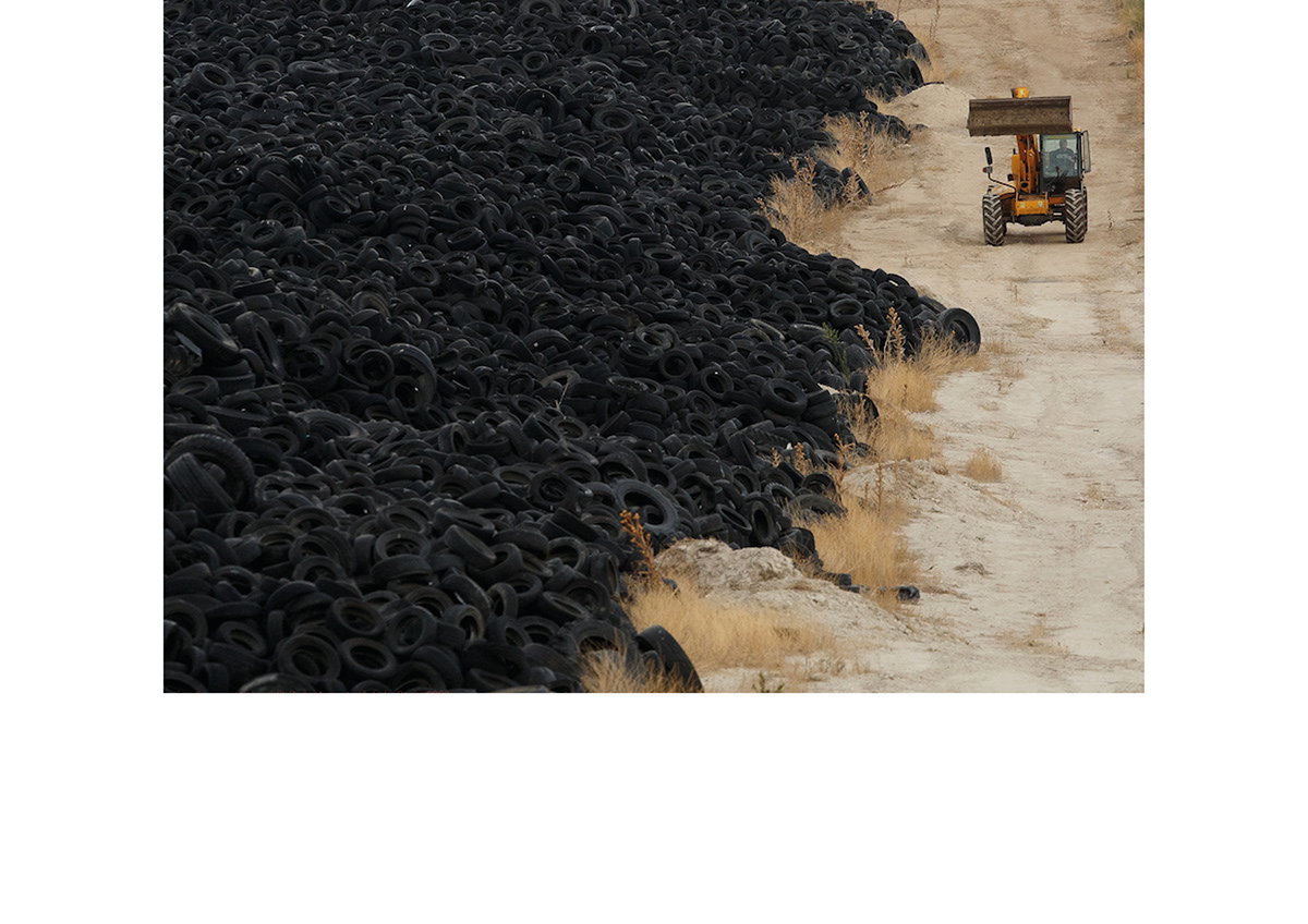 gules，Skate，Fragment，