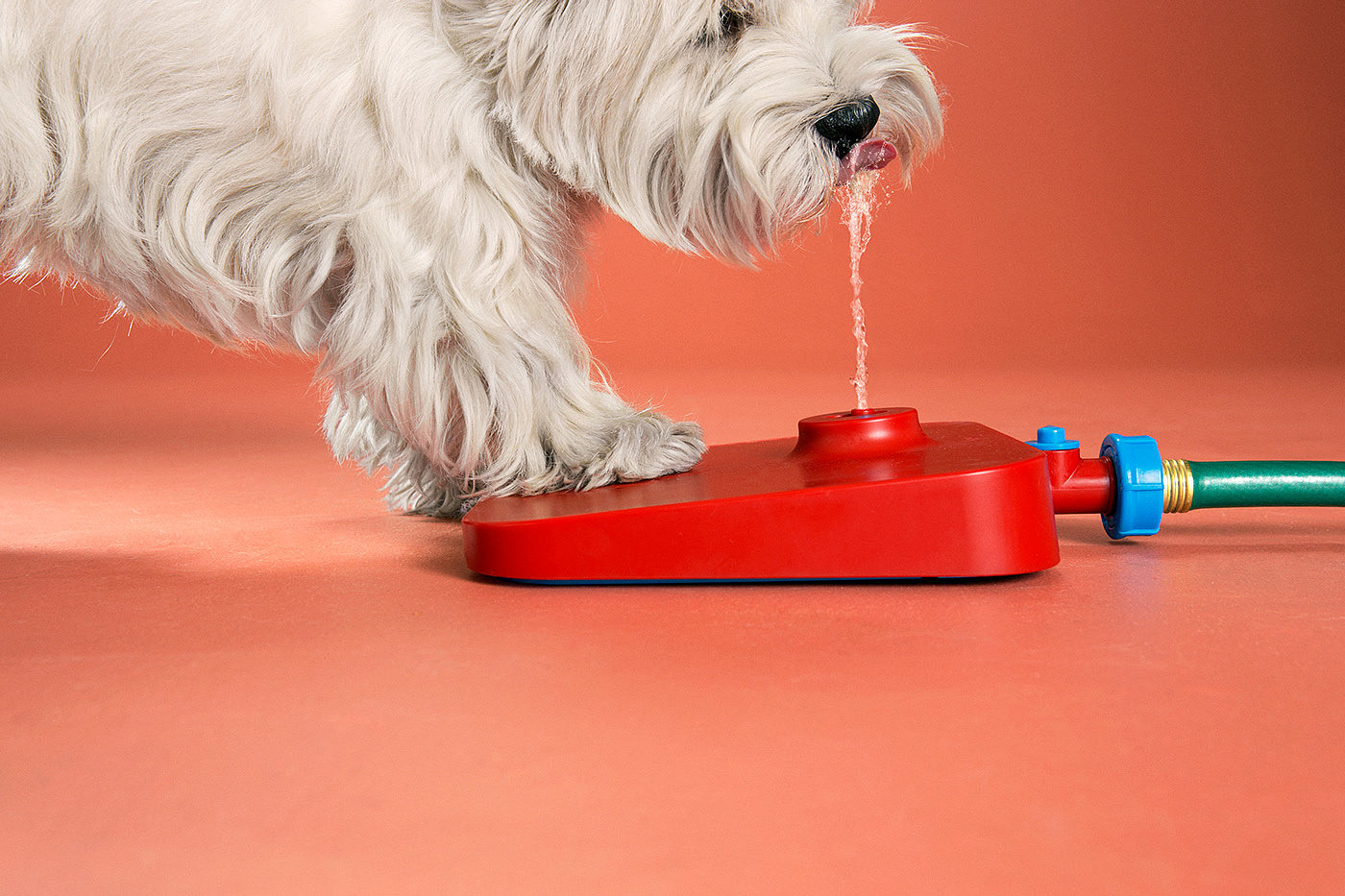 industrial design，Pet water dispenser，Pet Supplies & Pet，Pawcet，