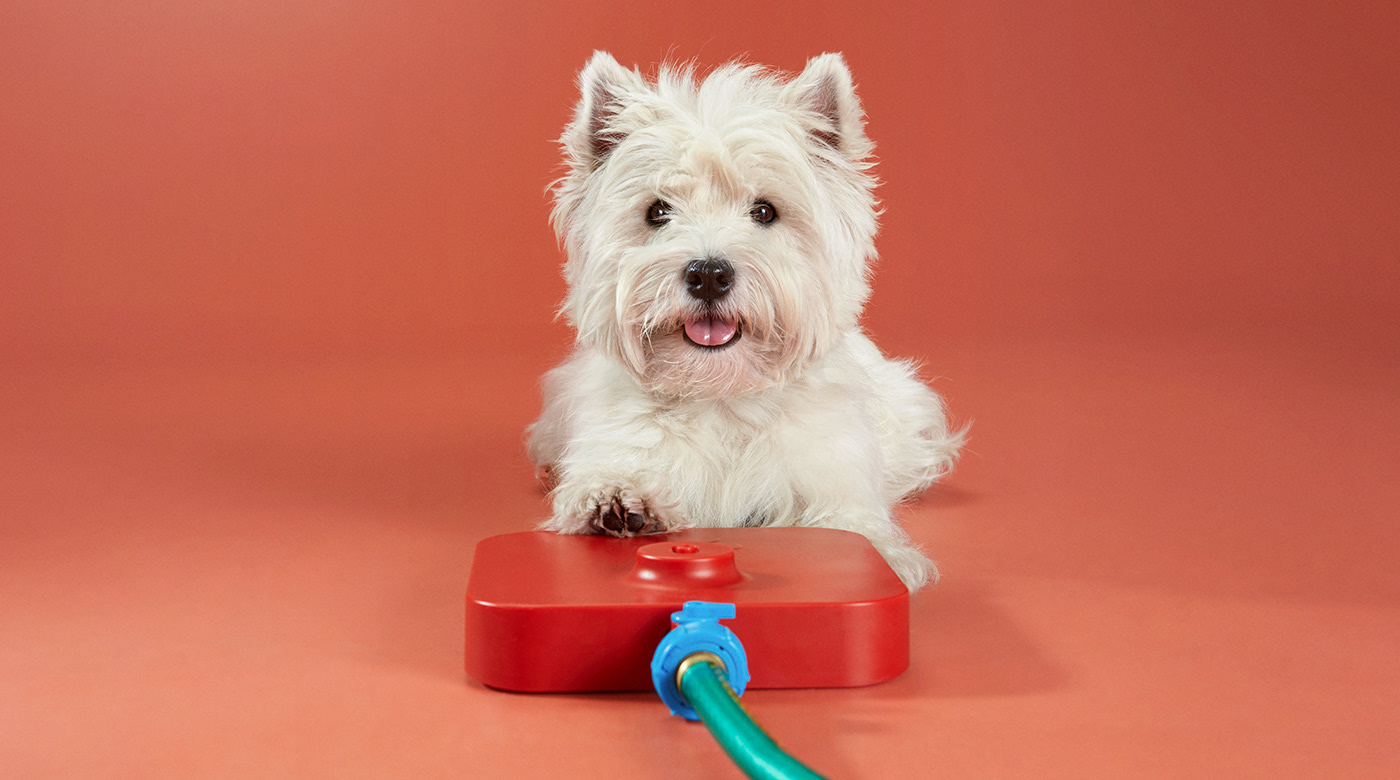 industrial design，Pet water dispenser，Pet Supplies & Pet，Pawcet，