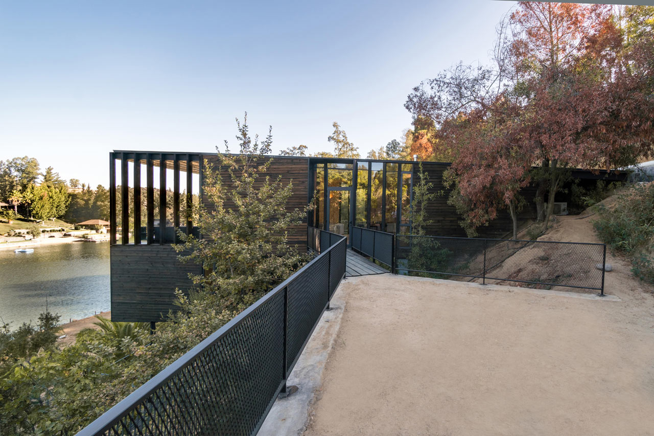 hillside，wood，Live at home，house，Xu Rudolph，Slope House，