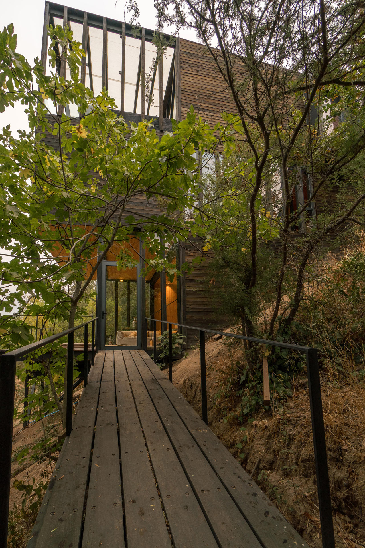 hillside，wood，Live at home，house，Xu Rudolph，Slope House，