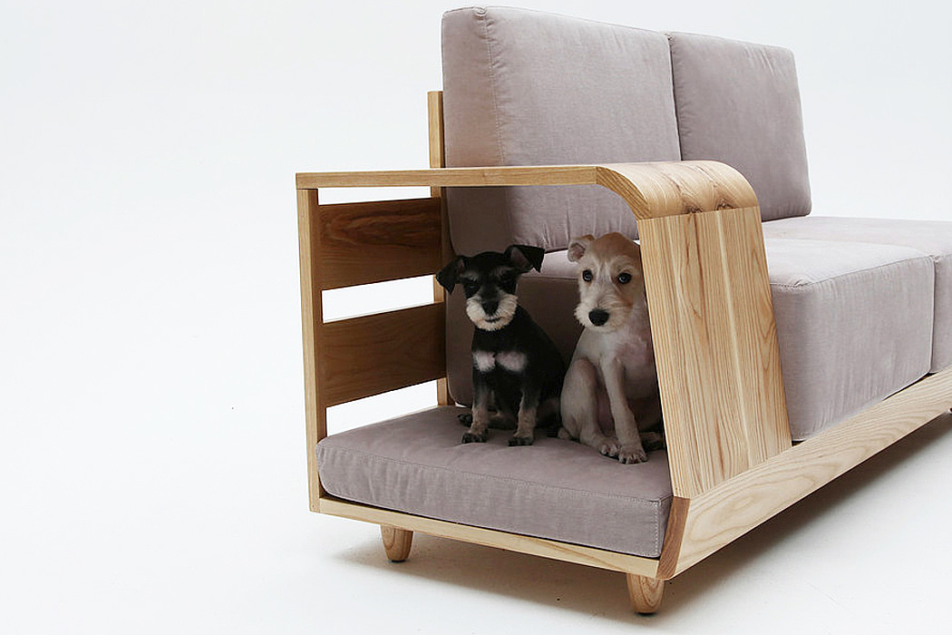 狗窝沙发，创意，设计，宠物，