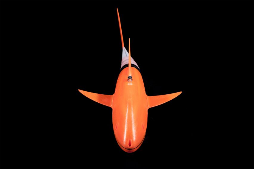 3d打印的机器人鱼通过模仿金枪鱼的运动在水中游动