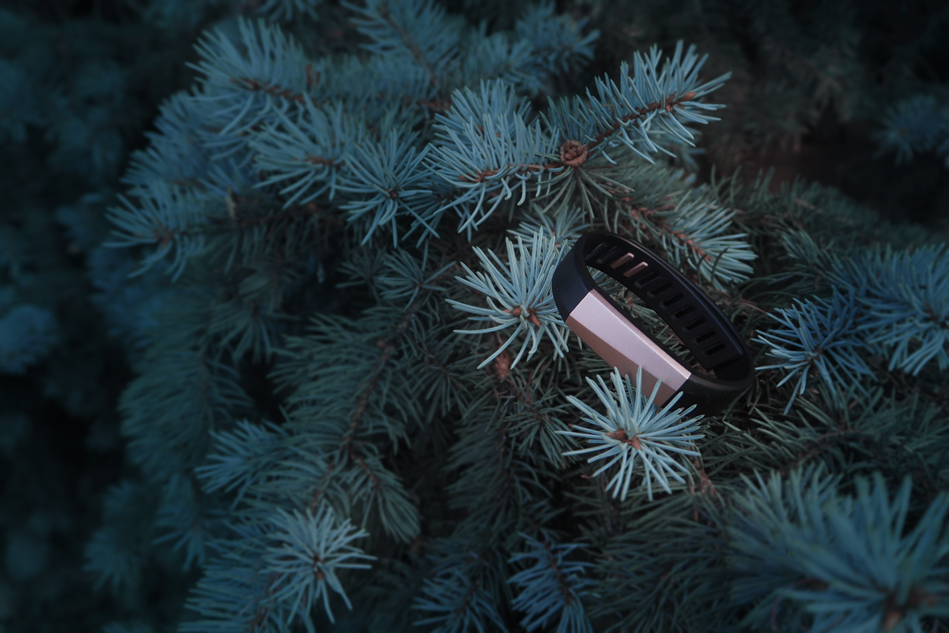 motion，Bracelet，Neatfit，