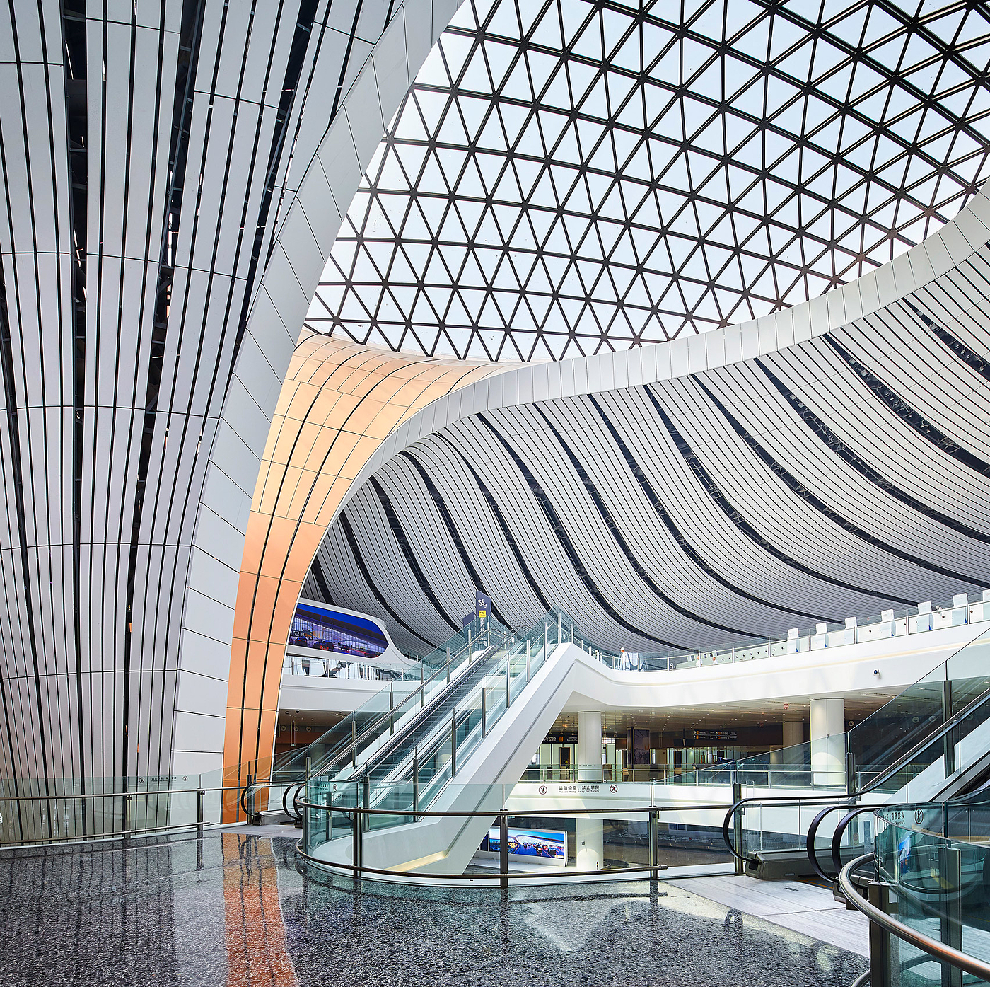 airport，Starfish，compact，Zaha Hadid，Beijing Airport，