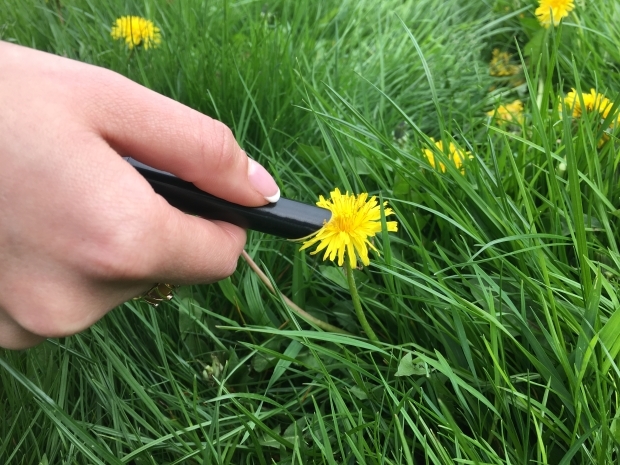 pen，molecules，Stationery，painting，intelligence，science and technology，