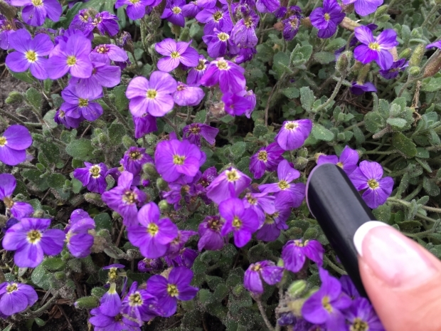 pen，molecules，Stationery，painting，intelligence，science and technology，