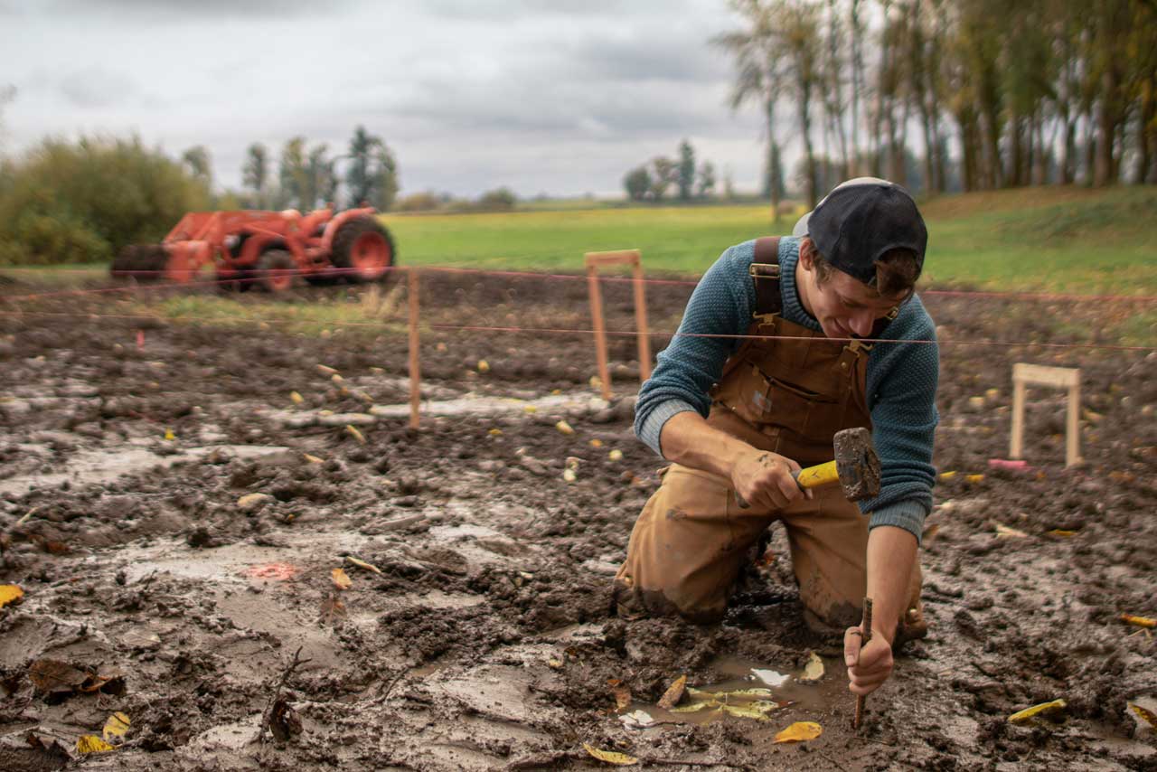 Van，skylight，Mongolian yurts，