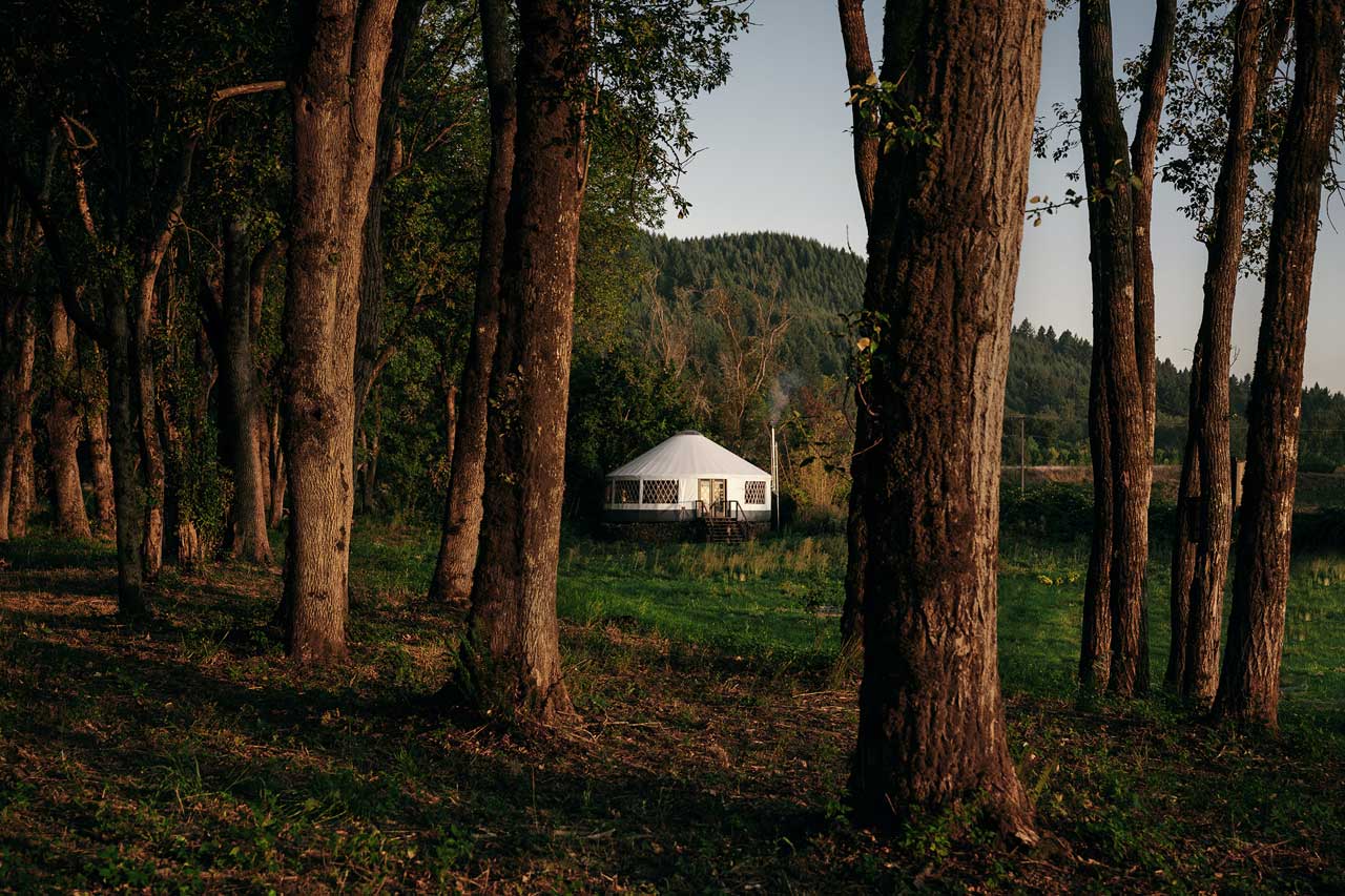 Van，skylight，Mongolian yurts，