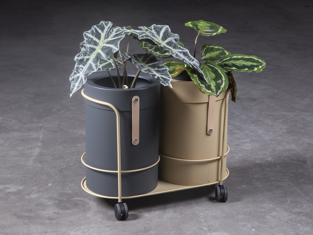 activity，furniture，sign，