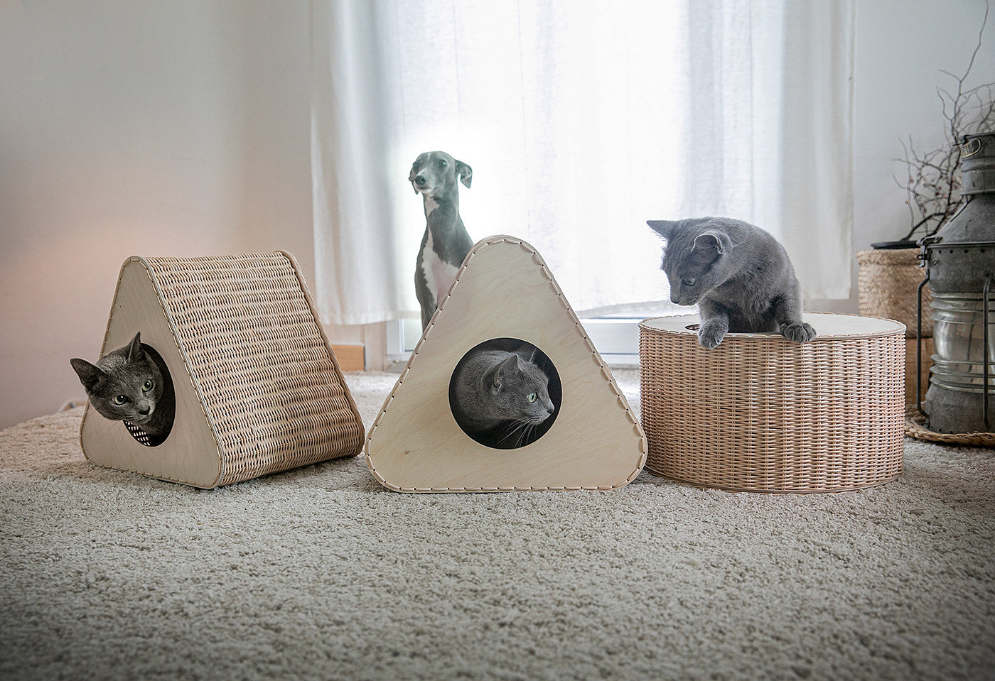 手工艺，猫屋，Triangle Cat House，