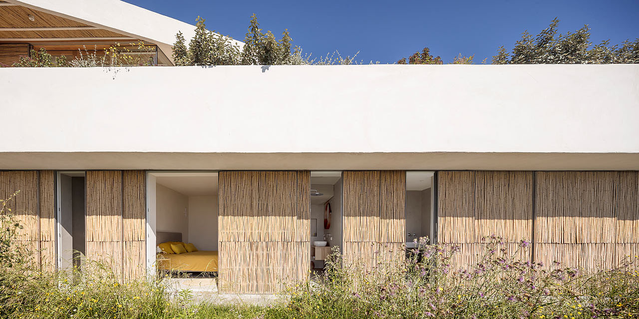 Simplicity，Bamboo，Architectural design，Spain，house，