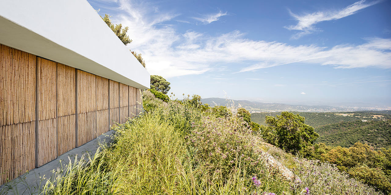 Simplicity，Bamboo，Architectural design，Spain，house，