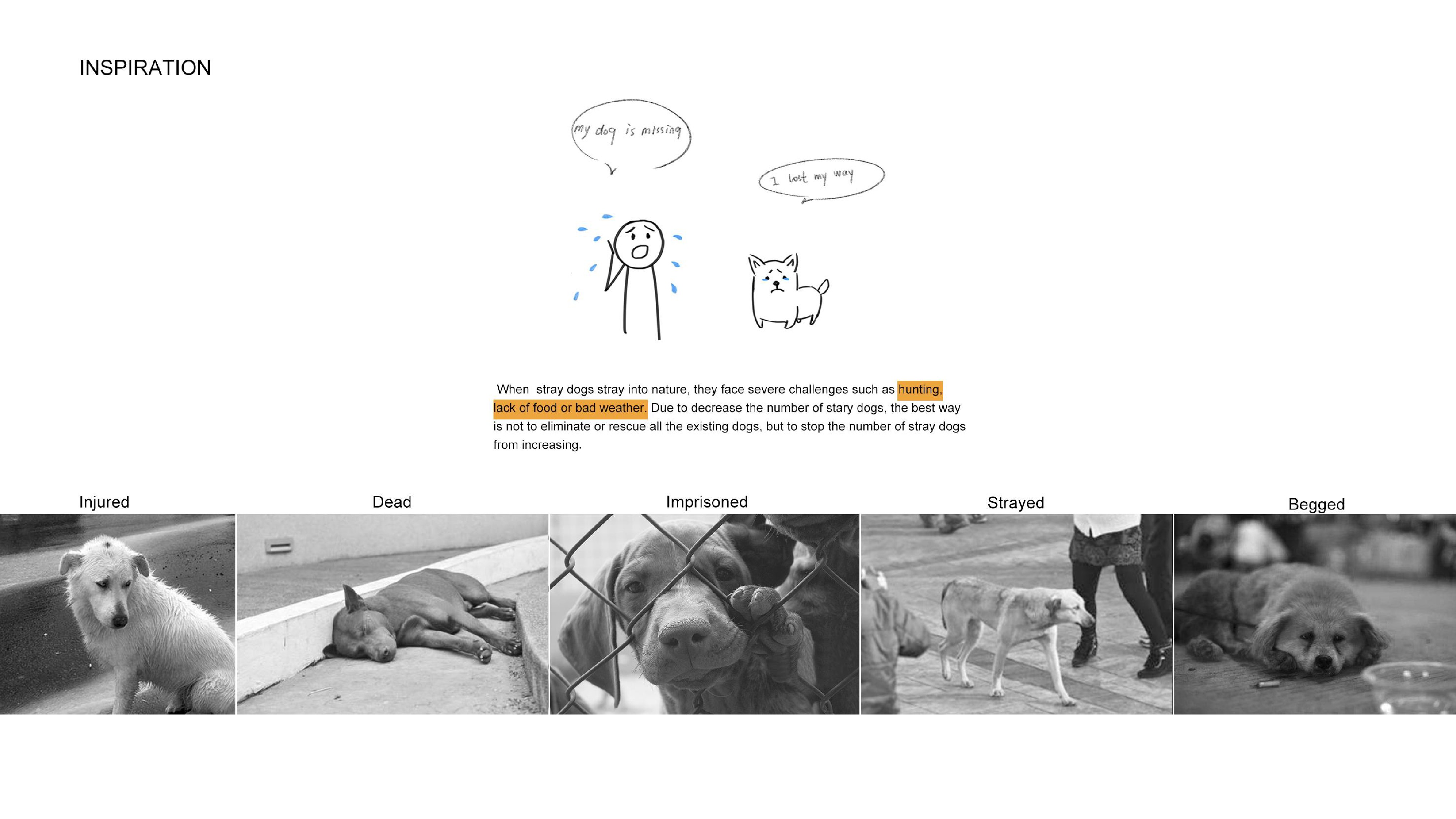 product design，dog，keyshot，sample reels，location，gps，