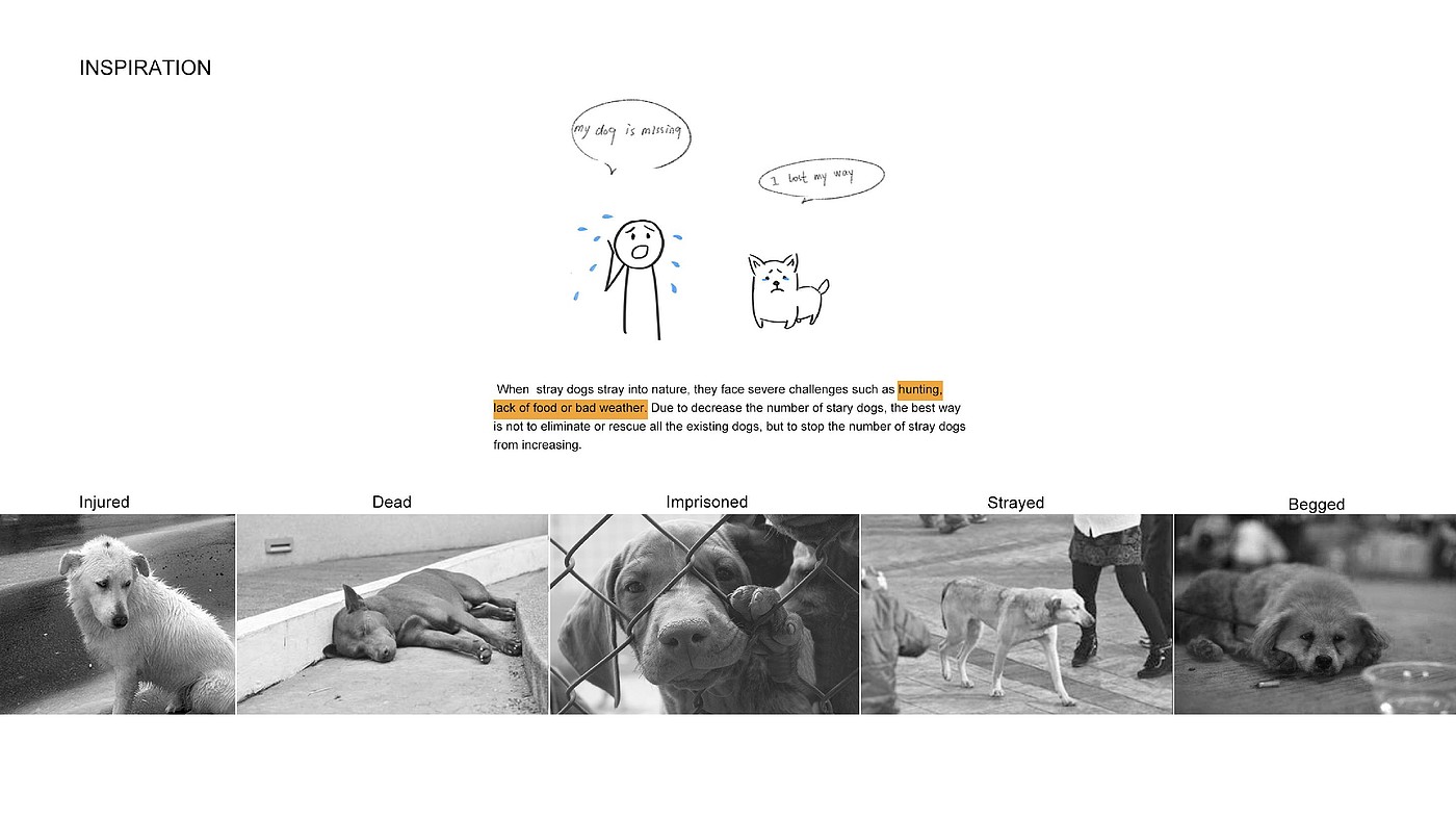 product design，dog，keyshot，sample reels，location，gps，