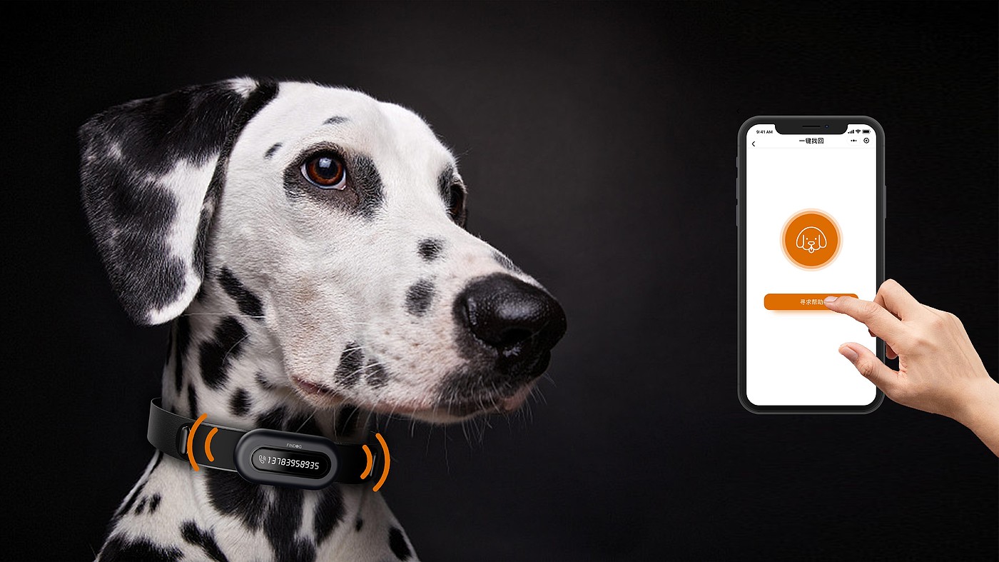 product design，dog，keyshot，sample reels，location，gps，