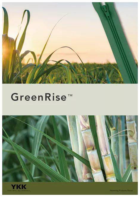 two thousand and nineteen，best，Good Design，Japan，Design Award，