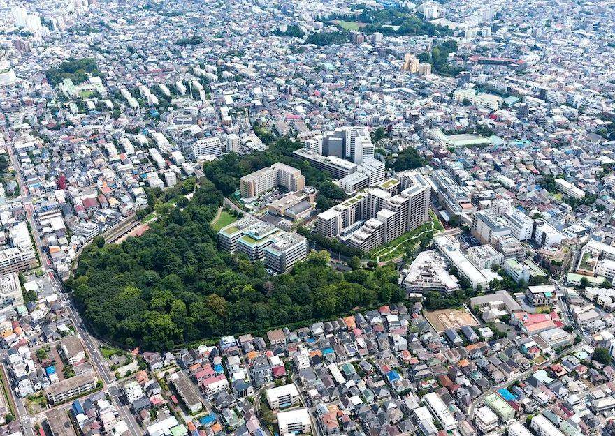 Design Award，Japan，Good Design，best，two thousand and nineteen，