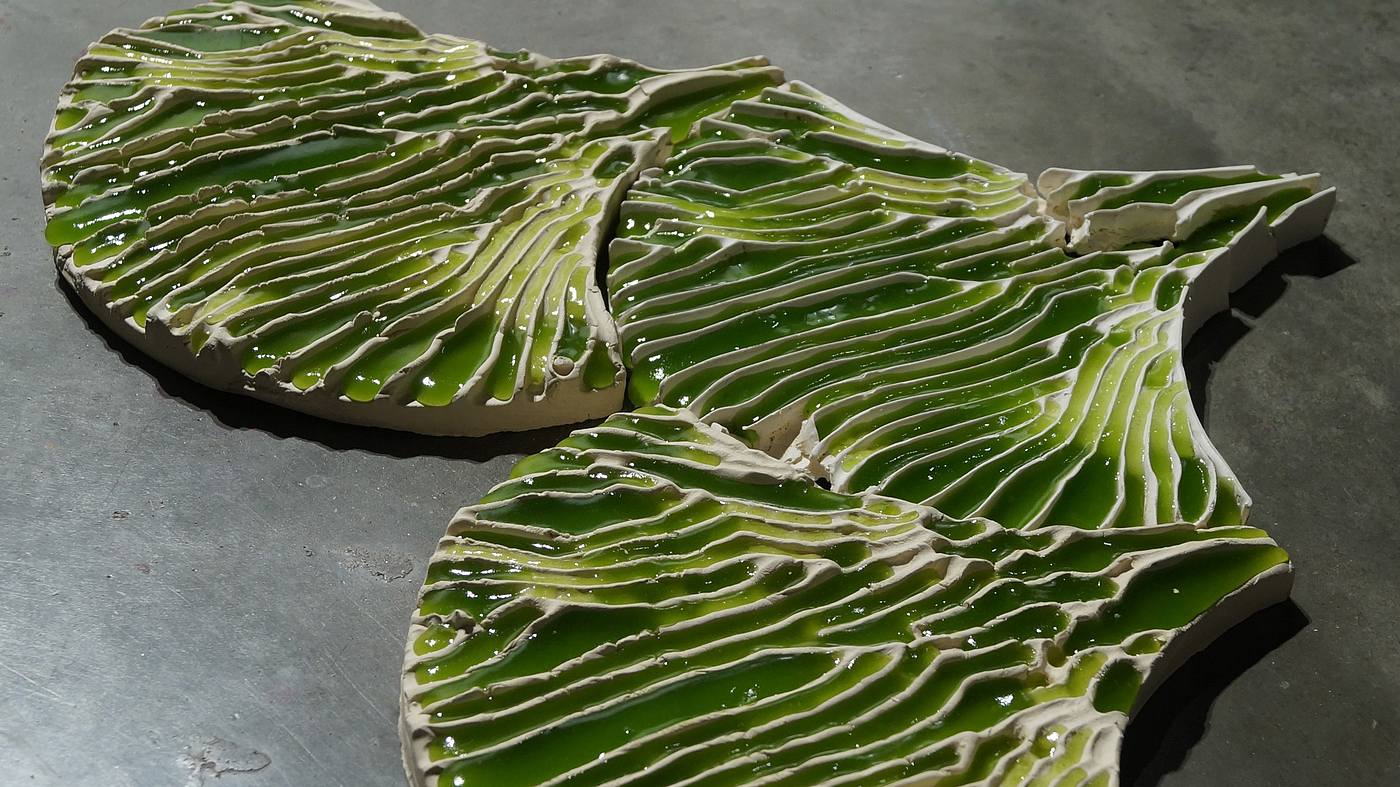 Green design，Ceramic tile design，Bio-ID，