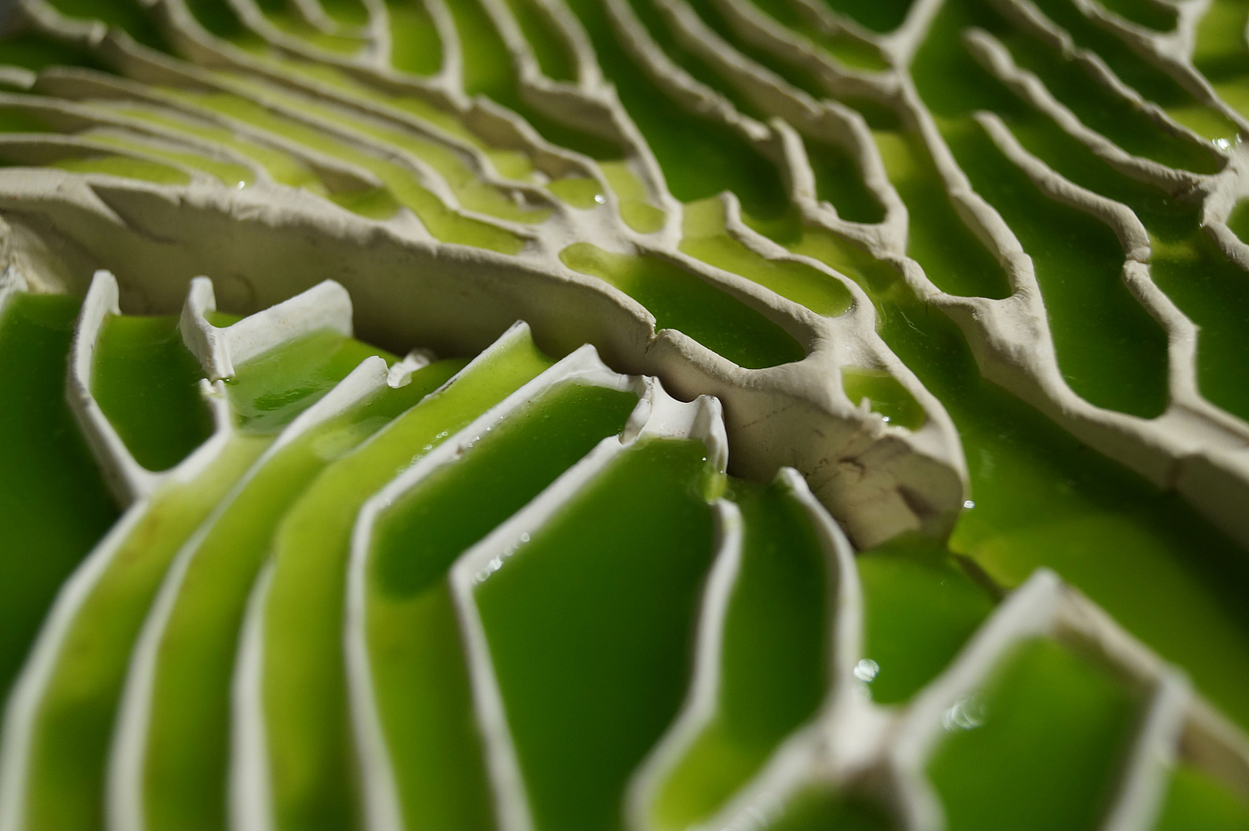 Green design，Ceramic tile design，Bio-ID，