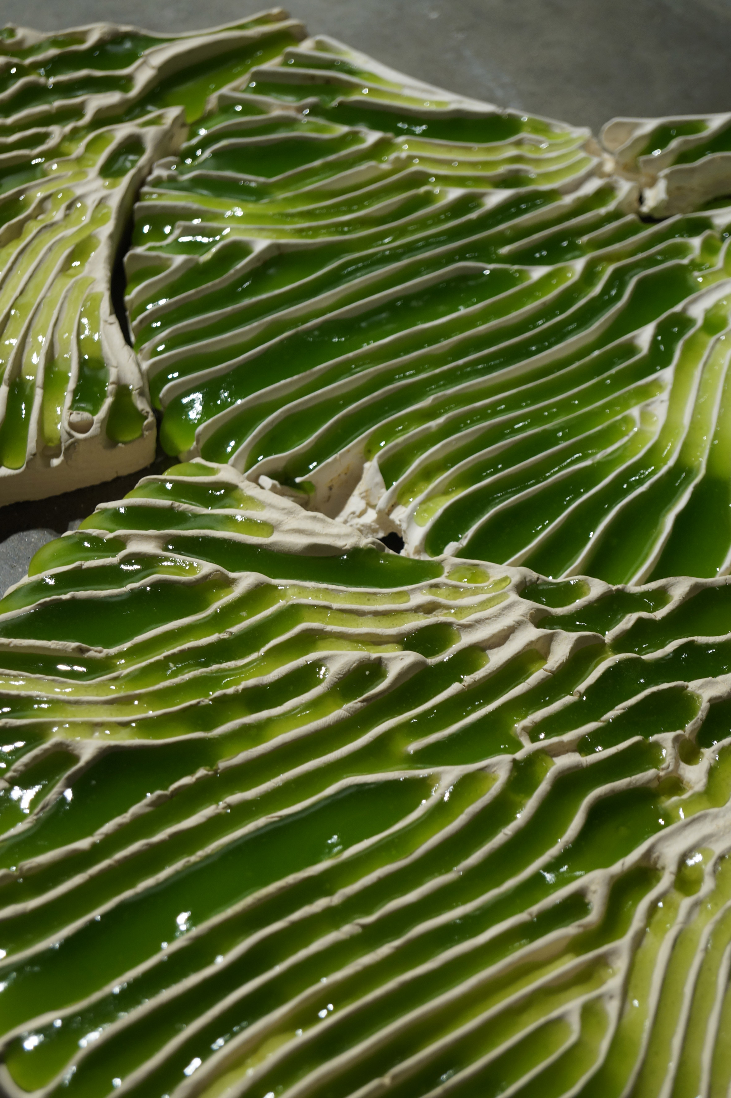 Green design，Ceramic tile design，Bio-ID，