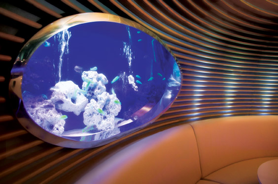 American designer，Karim Ricky，