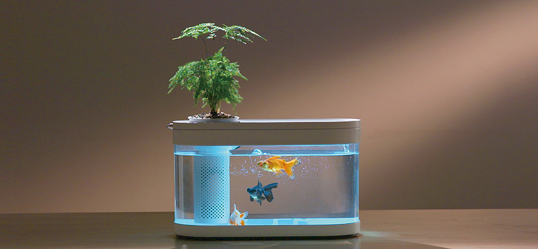 Net red，Red dot team，Annual explosion，Lazy fish tank，Fish tank design，Classic design，Simple design，Minimalist style，