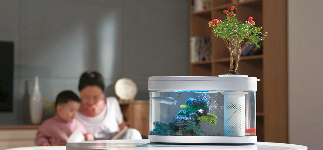 Net red，Red dot team，Annual explosion，Lazy fish tank，Fish tank design，Classic design，Simple design，Minimalist style，