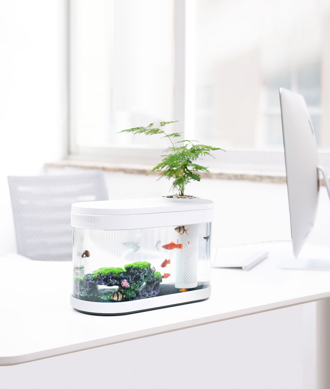 Net red，Red dot team，Annual explosion，Lazy fish tank，Fish tank design，Classic design，Simple design，Minimalist style，