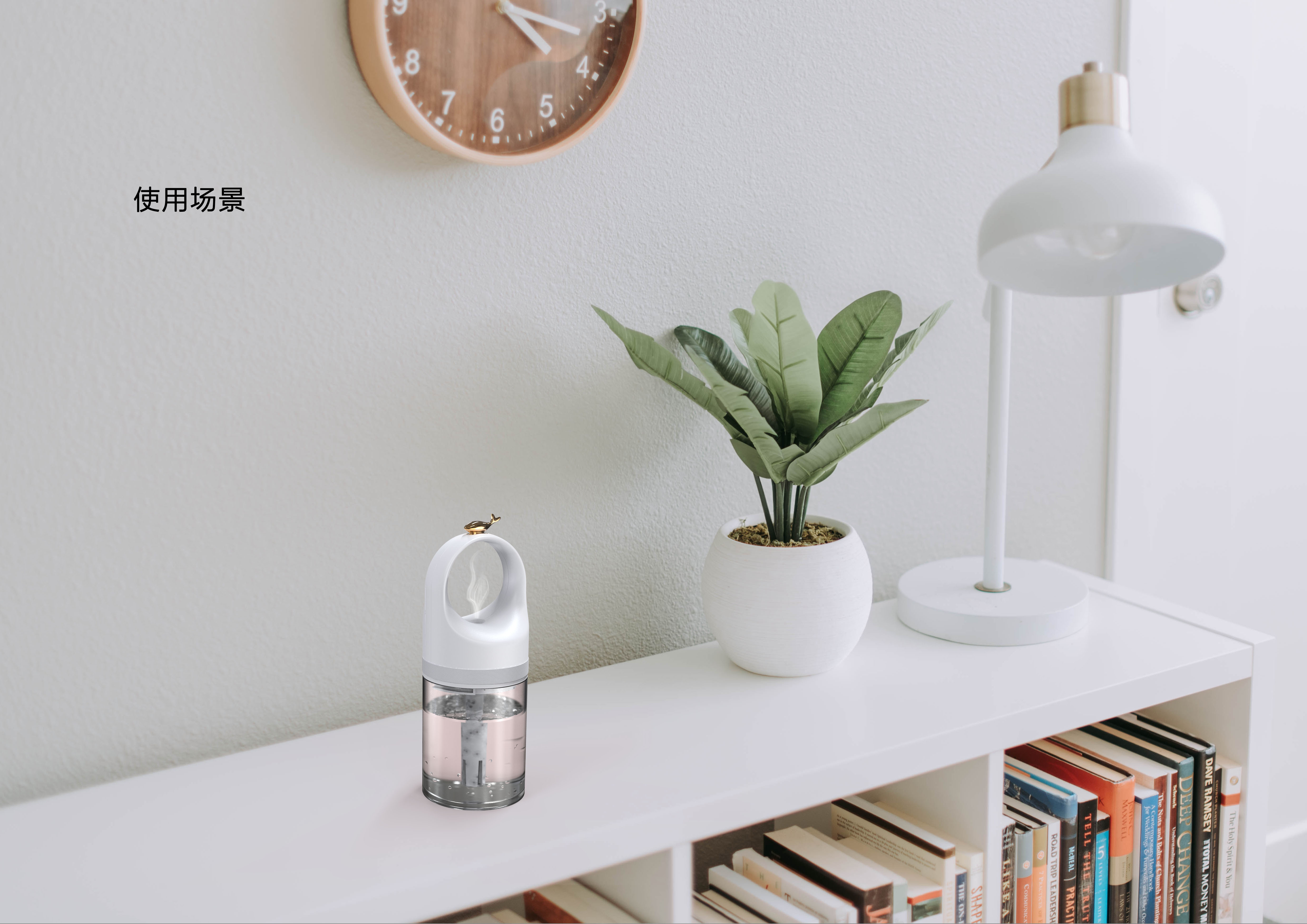 Humidifier，fish，water，