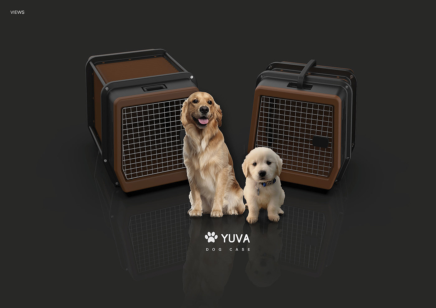 product design，YUVA，Dog box，Stretch，