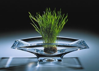 Karim Ricky，American designer，Grotesque design，