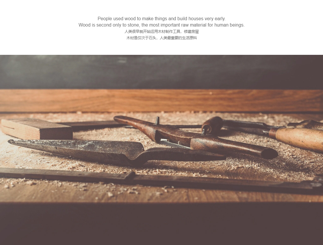 life，Home Furnishing，Vinyl record，time，Time machine，