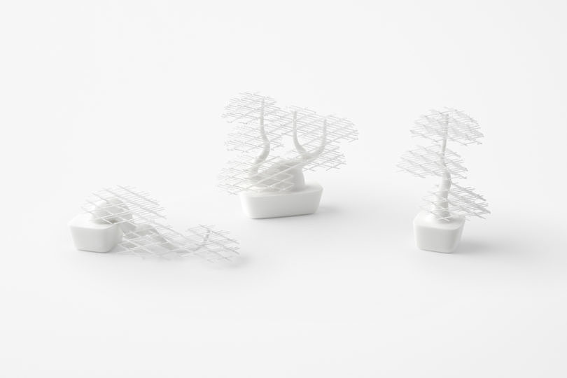 white，Interaction design，bonsai，