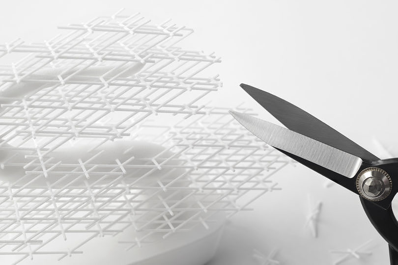 white，Interaction design，bonsai，