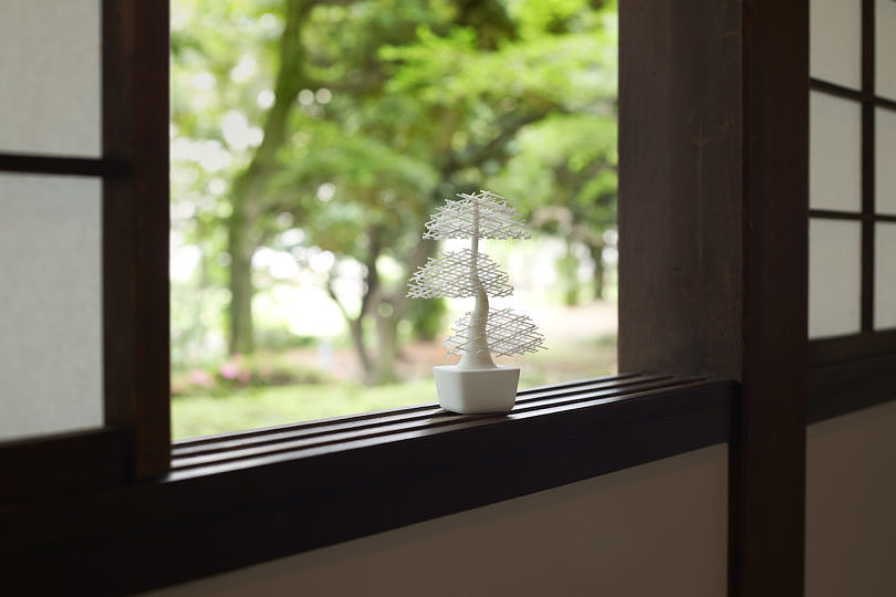 white，Interaction design，bonsai，